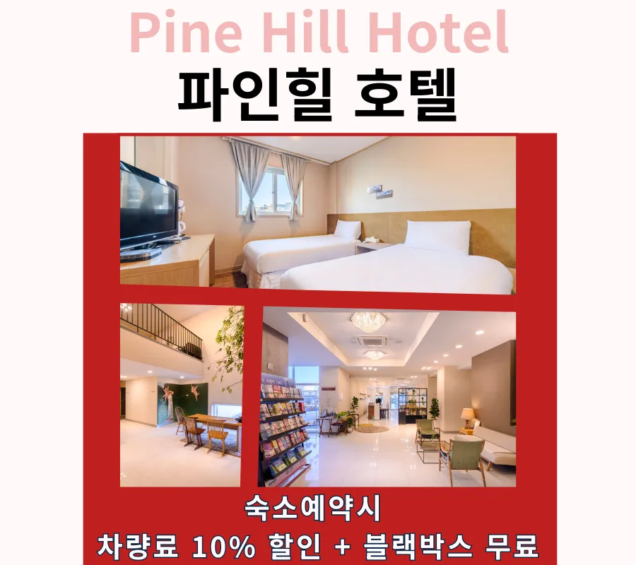 파인힐 호텔